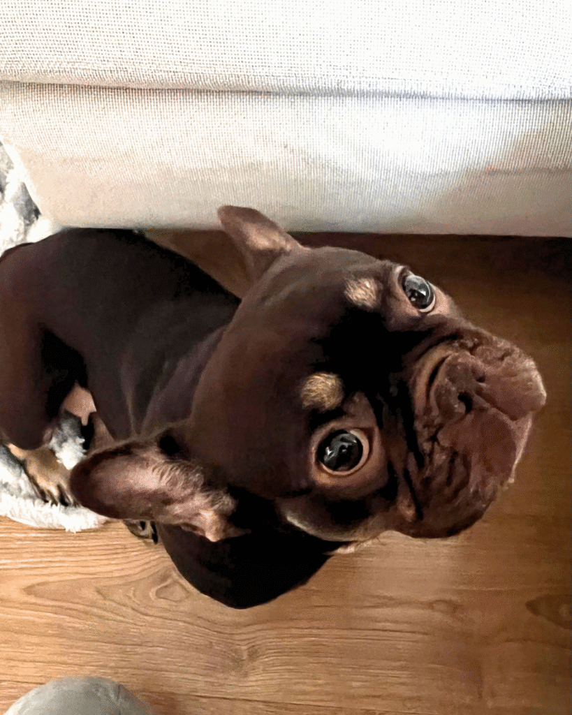 Choco