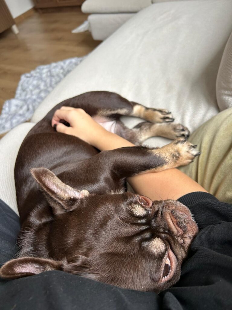 Choco