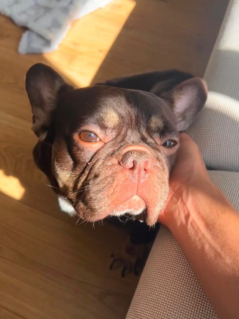 Choco