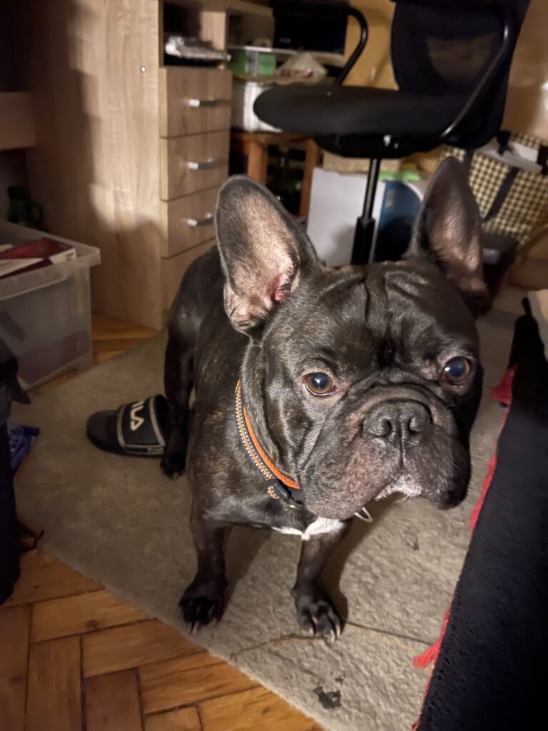 Blacky