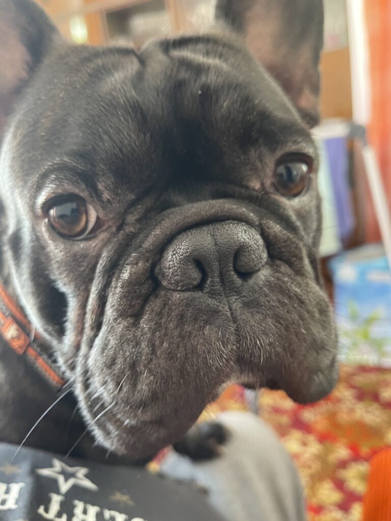 Blacky