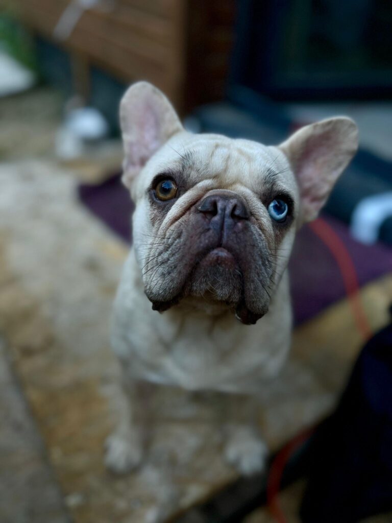 Milka
